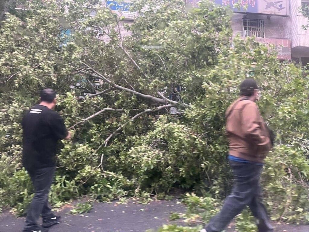تصاویر | سقوط چند درخت روی خودروهای مردم در بلوار کشاورز تهران در پی وزش شدید باد تصاویر | سقوط چند درخت روی خودروهای مردم در بلوار کشاورز تهران در پی وزش شدید باد
