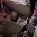 آغاز به کار کانال «انتخاب» در پیام‌رسان «بله» و «روبیکا» 
ویدیو / نجات یکی از هموطنان از زیر آوار حملات هوایی در تهران توسط هلال احمر