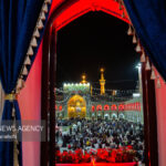 نوای «حیدر حیدر» در حرم مطهر امام رضا(ع)