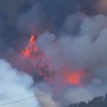 آغاز به کار کانال «انتخاب» در پیام‌رسان «بله» و «روبیکا» 
ببینید/ آتش سوزی مهیب در جنگل‌های اسپانیا