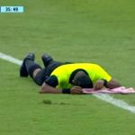 ببینید | حملهٔ زنبورها یک مسابقهٔ فوتبال را متوقف کرد!