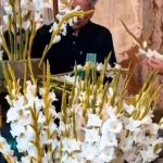 آماده‌سازی گل‌ها و گل‌آرایی برای مراسم خطبه خوانی شب شهادت امام رضا(ع)