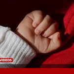 جزئیات ربایش نوزاد در تهران؛جابجایی فقط برای کمتر از ۱۰۰ میلیون تومان