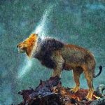 ببینید | پُرتره‌ای از فرمانروای جنگل در زیر باران