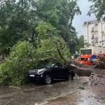 ببینید | بارندگی سیل‌آسا در اسمولنسک روسیه؛ جان باختن یک کودک بر اثر سقوط درخت