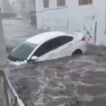 آغاز به کار کانال «انتخاب» در پیام‌رسان «بله» و «روبیکا» 
ببینید / سیلاب شدید در هند ماشین‌ها را با خود برد