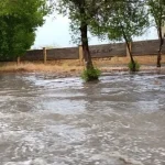 ببینید/ سیلاب در خیابان‌های ساری