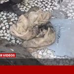 نظر کارشناس نظامی به موشک آمریکایی مورد اصابت در مراسم عروسی کوهستک